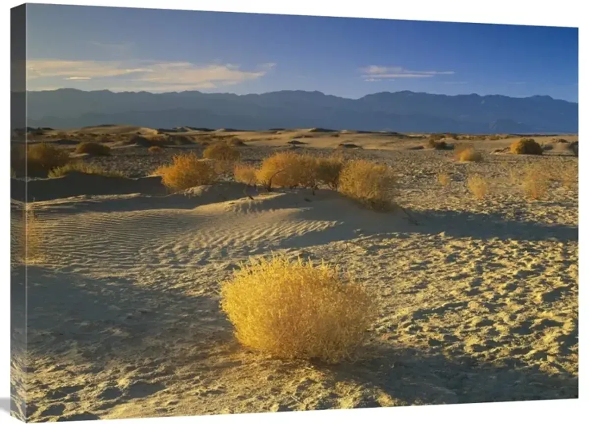 Mesquite Flat Sand Dunes, Death Valley National Park, California-Canvas Art-32x24