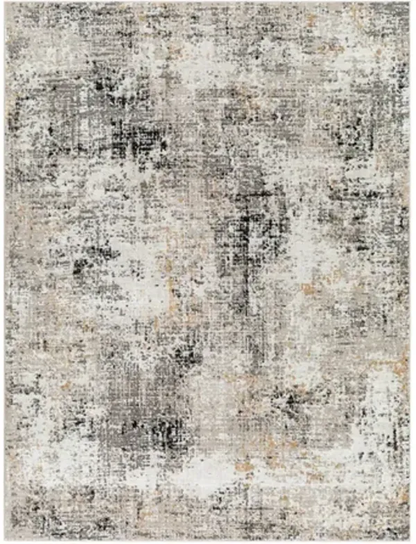 Elaning 5' x 7' Rug