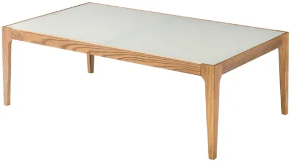 ACME Gwynn Coffee Table, Natural & Frosted Glass