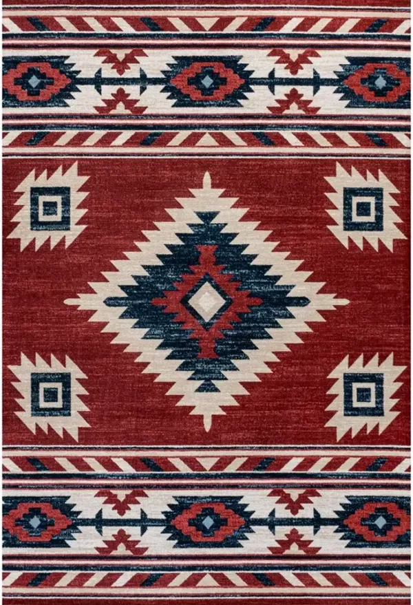 Serape Medallion Southwestern Area Rug