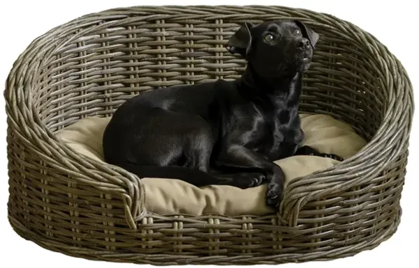 Curvy Classic Handwoven Rattan Pet Bed with Machine-Washable Cushion