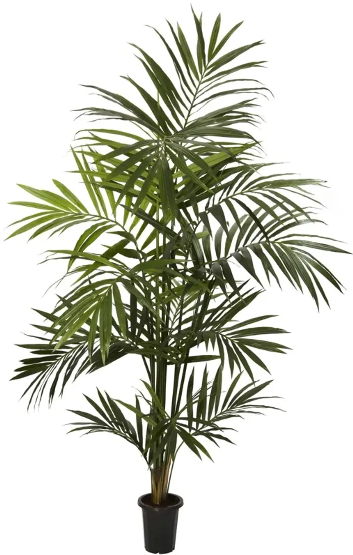 Nearly Natural 7-ft Kentia Palm Tree w/13 Fonds