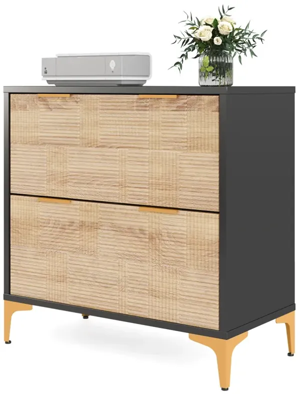 Modern File Cabinet, 2-Drawer Lateral Filing Cabinet with Adjustable Hanging Bar, Office Storage Cabinet for Home Office, A4/Letter Size Files, Storage Lockers