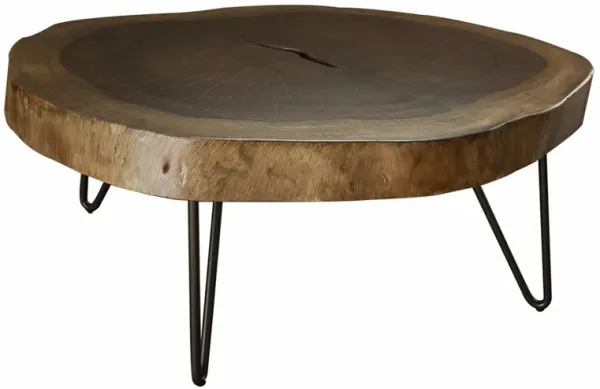 Hito 44in Coffee Table, Black Metal Legs, Live Edge Brown Solid Parota Wood - Benzara