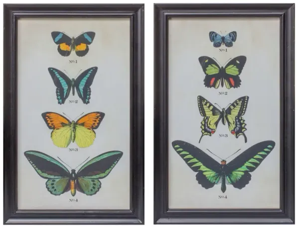 Framed Butterfly Print - Decorative Wall Art for Home or Garden Decor (Set of 2)