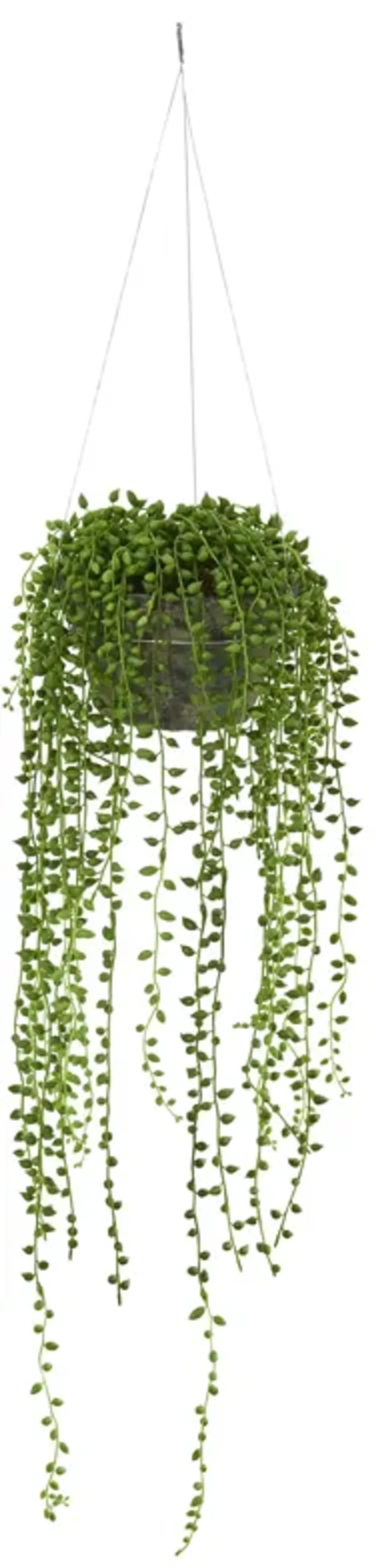 HomPlanti String of Pearl Artificial Plant Hanging Basket