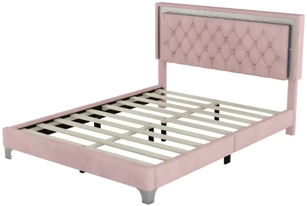 LED Queen Bed Frame, Pink Velvet, Modern