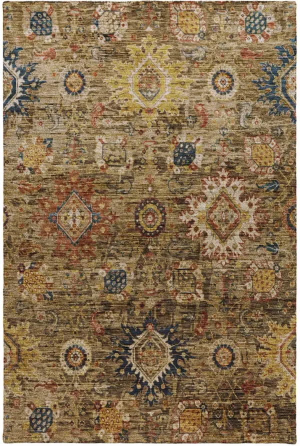Silk Road SR9 Clove 3' x 5' Rug