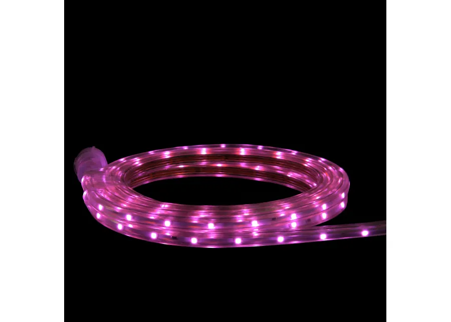 10' Pink LED Outdoor Christmas Linear Tape Lights