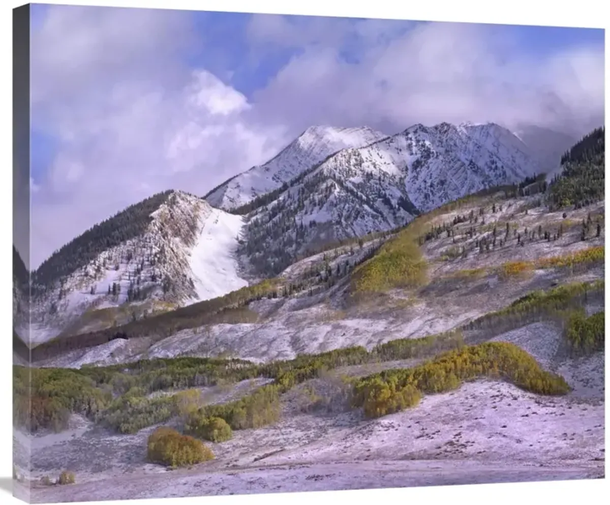 Elk Mountains with snow in autumn, Colorado-Canvas Art-30x24.9