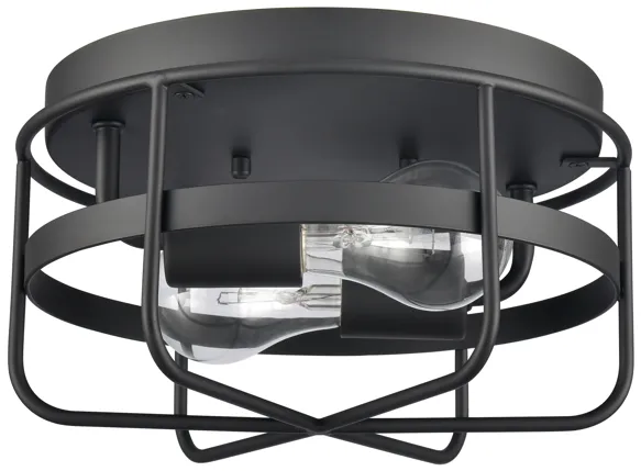 Gael 10'' Wide 2-Light Flush Mount