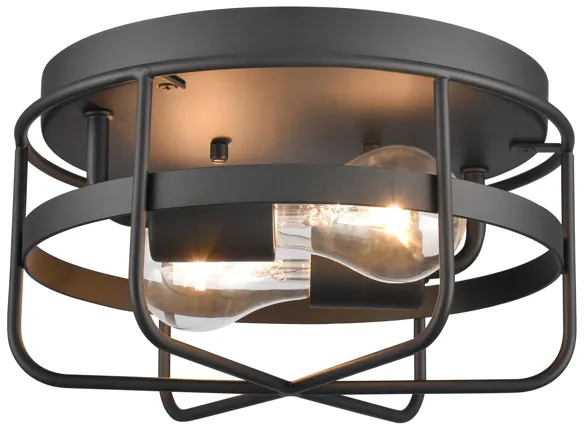 Gael 10'' Wide 2-Light Flush Mount