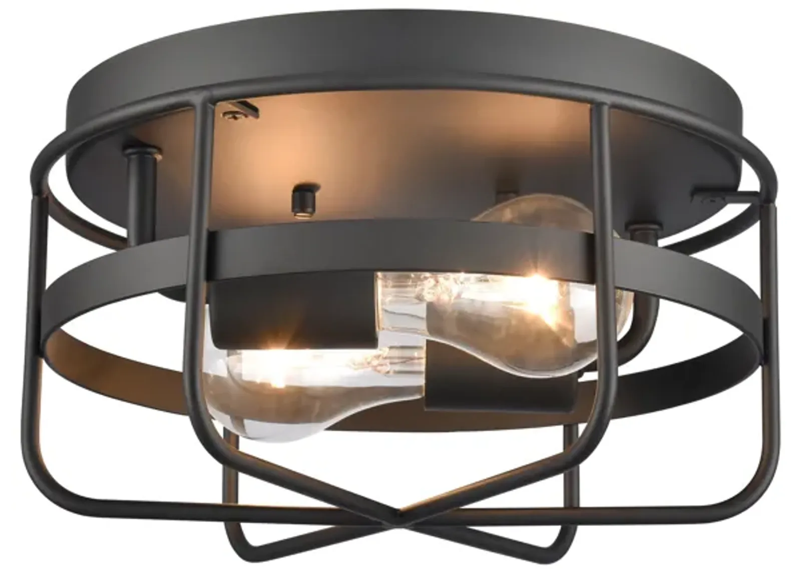 Gael 10'' Wide 2-Light Flush Mount