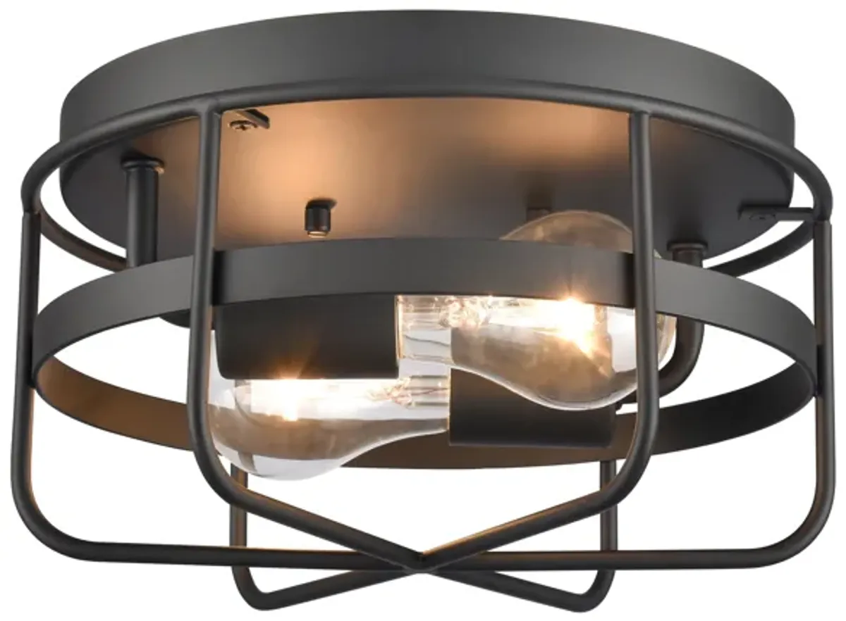 Gael 10'' Wide 2-Light Flush Mount