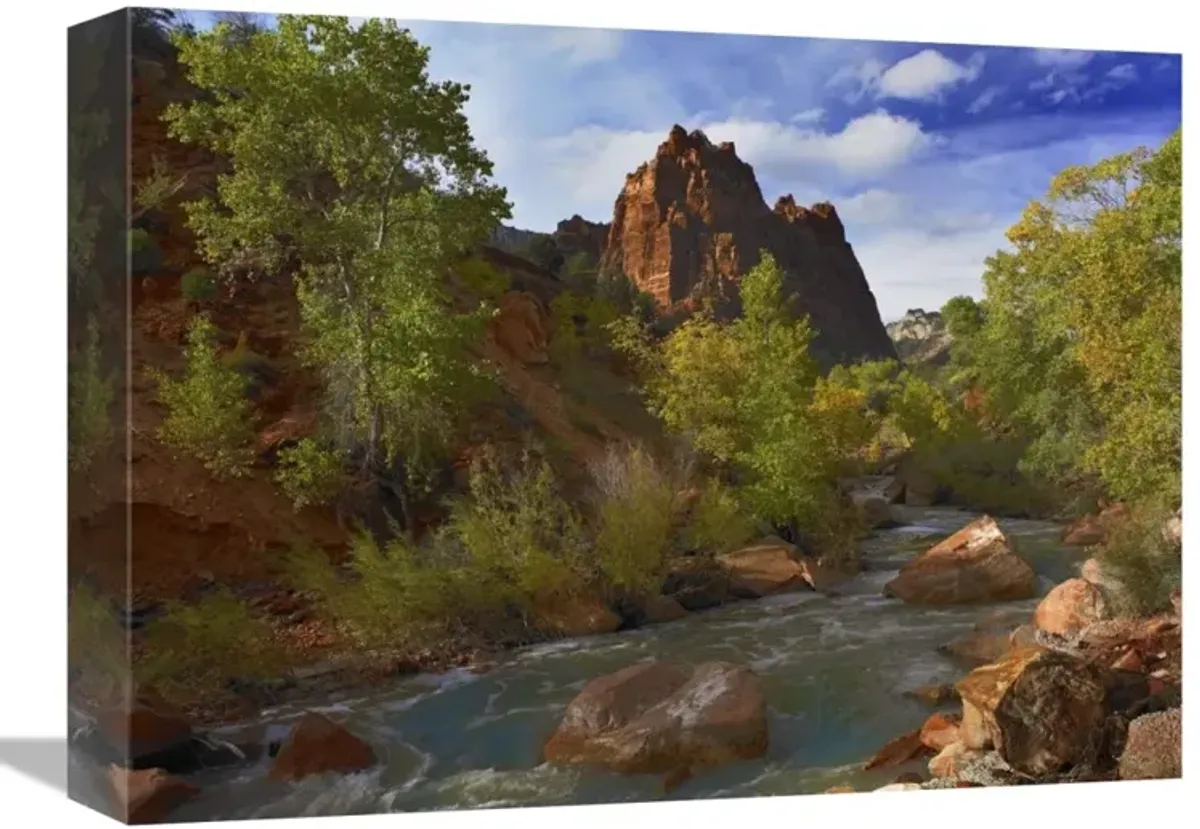 Mt Spry at 5,823 foot elevation with the Virgin River surrounded by Cottonwood trees, Zion National Park, Utah-Canvas Art-16x12