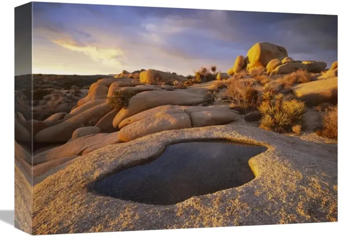 Water that has collected in boulder, Joshua Tree National Park, California-Canvas Art-16x12