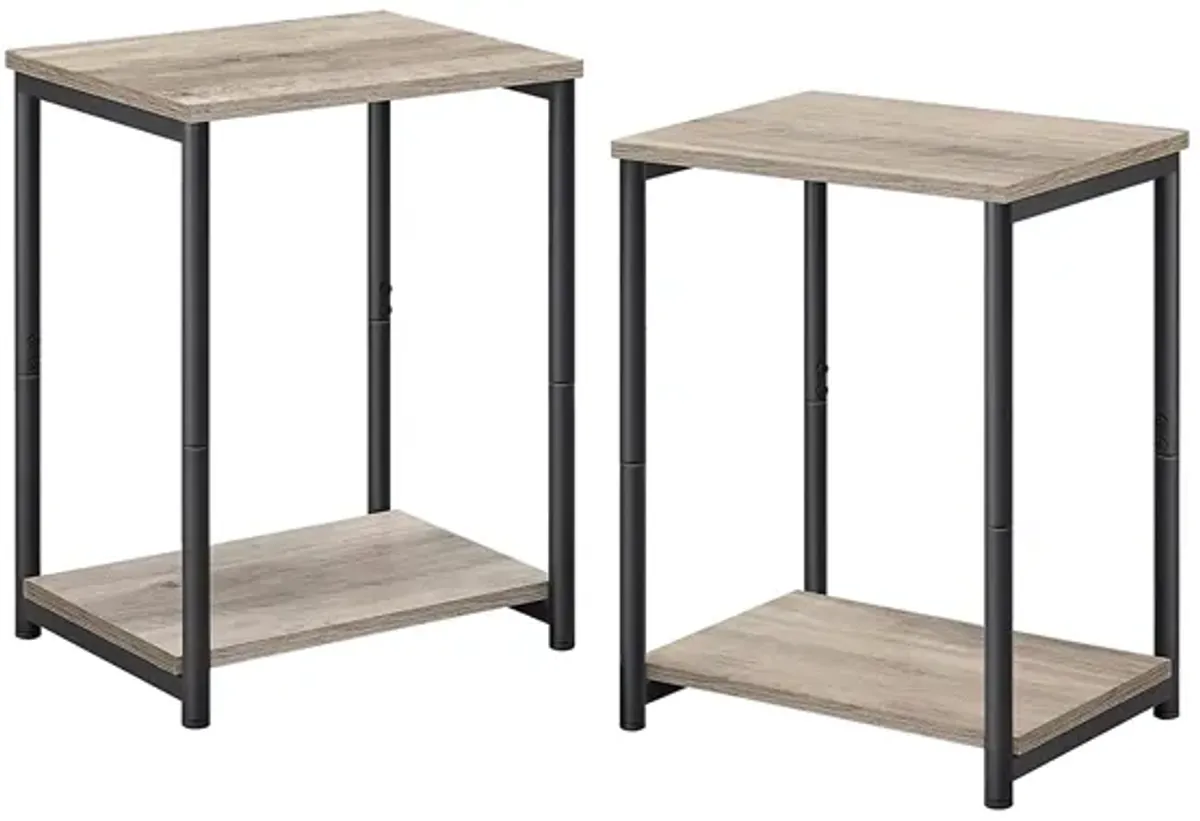 Steel Frame End Tables with Storage Shelf for Living Room and Bedroom- Set of 2