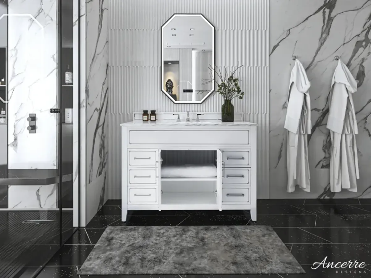 Aspen 48 in. Bath Vanity Set