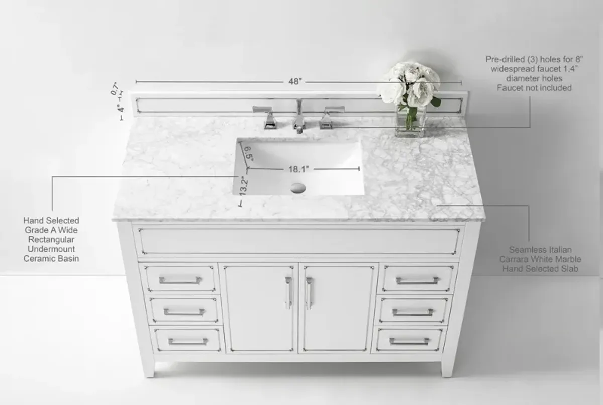 Aspen 48 in. Bath Vanity Set