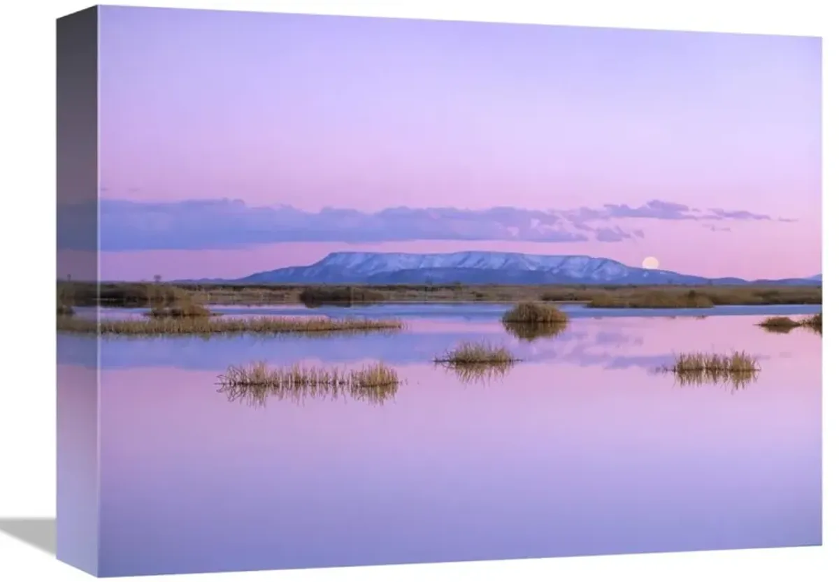 Full moon rising over Sangre de Cristo Mountain Range, Alamosa National Wildlife Refuge, Colorado-Canvas Art-16x12