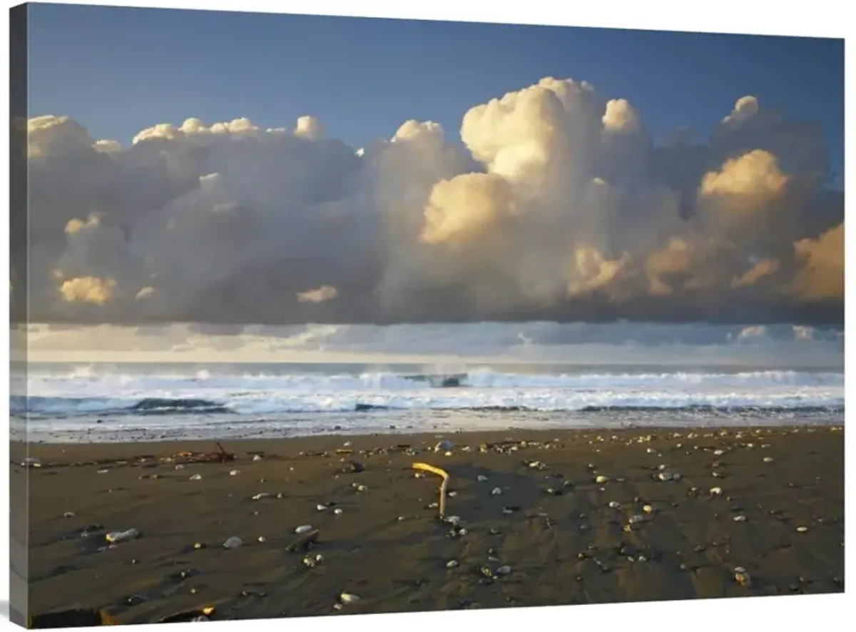 Beach and waves, Corcovado National Park, Costa Rica-Canvas Art-40x30