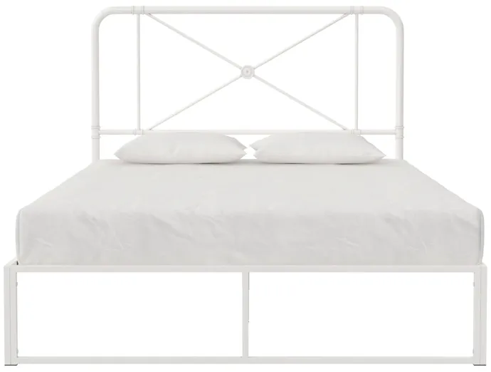 Allysa Metal Headboard