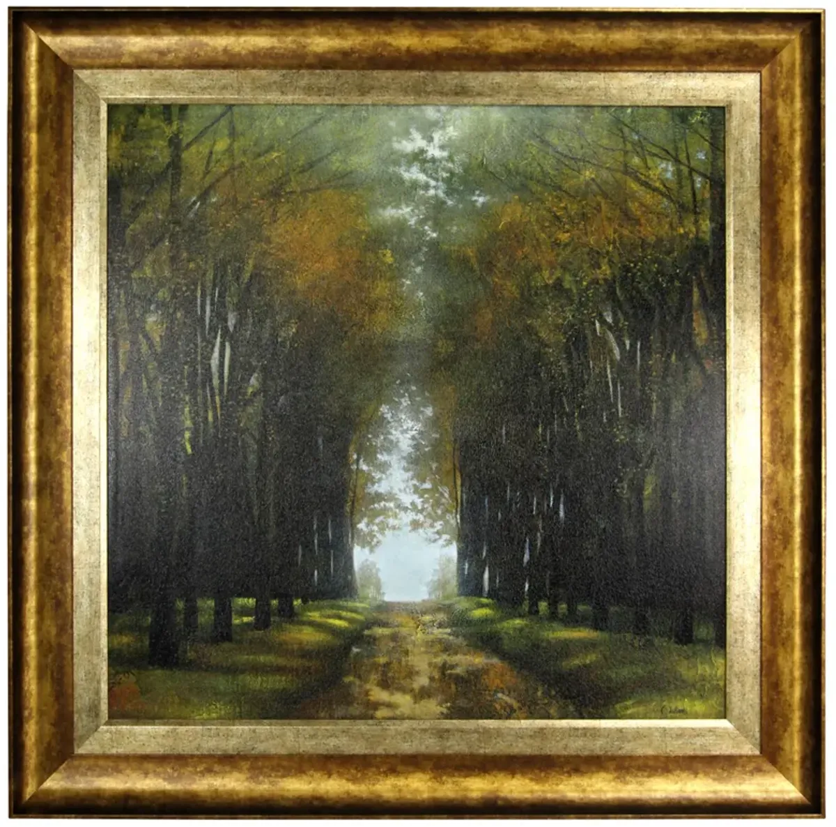 Hopes Haven Framed Print