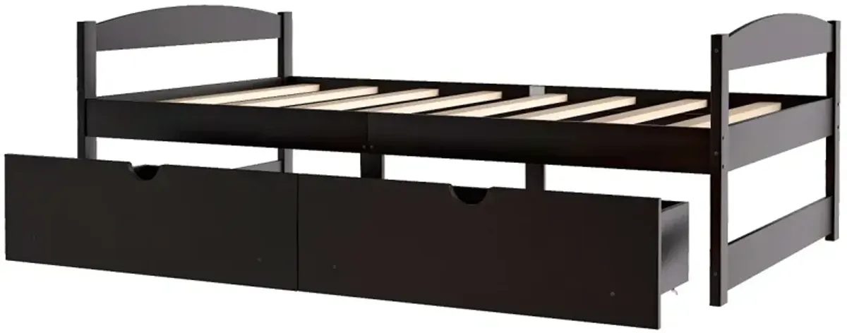 Twin Size Platform Bed, with Two Drawers