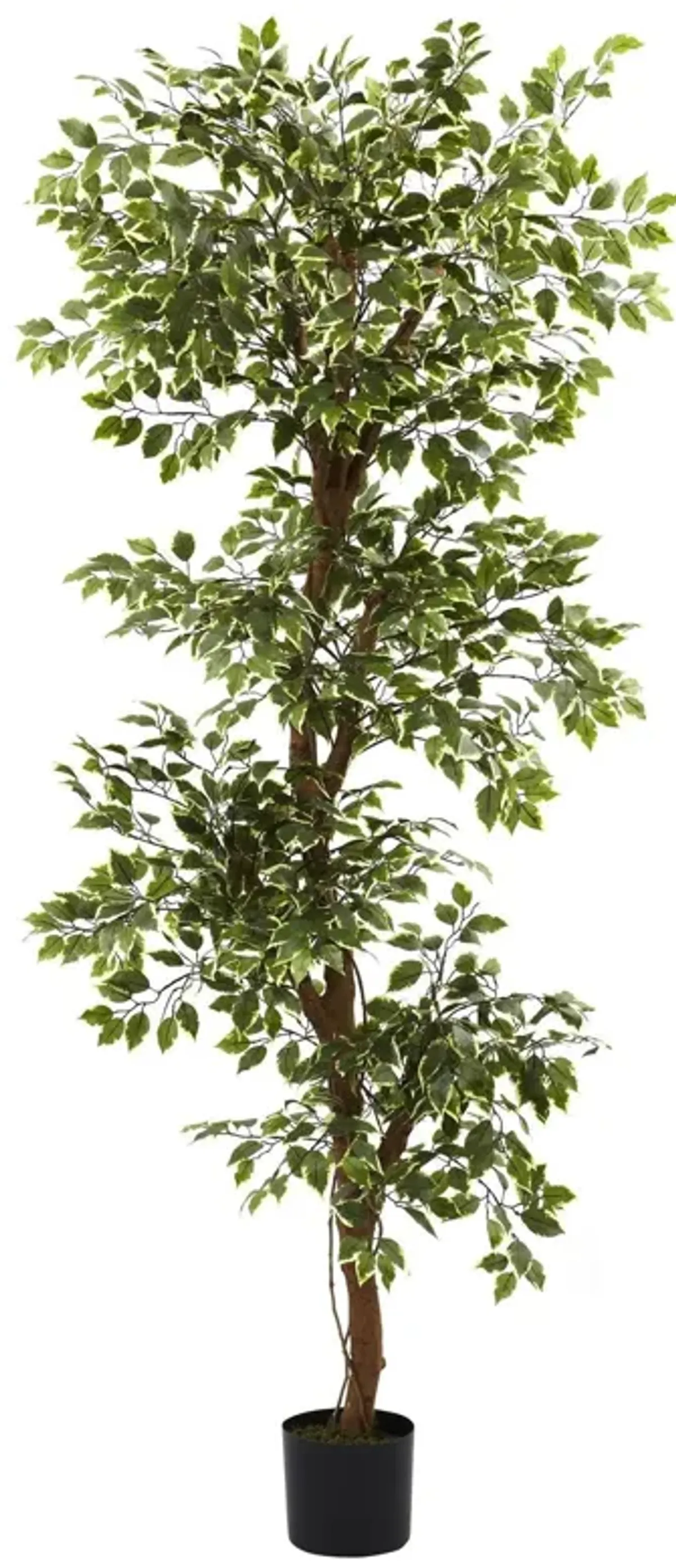 Nearly Natural 6-ft Variegated Ficus Tree w/1,944 Lvs