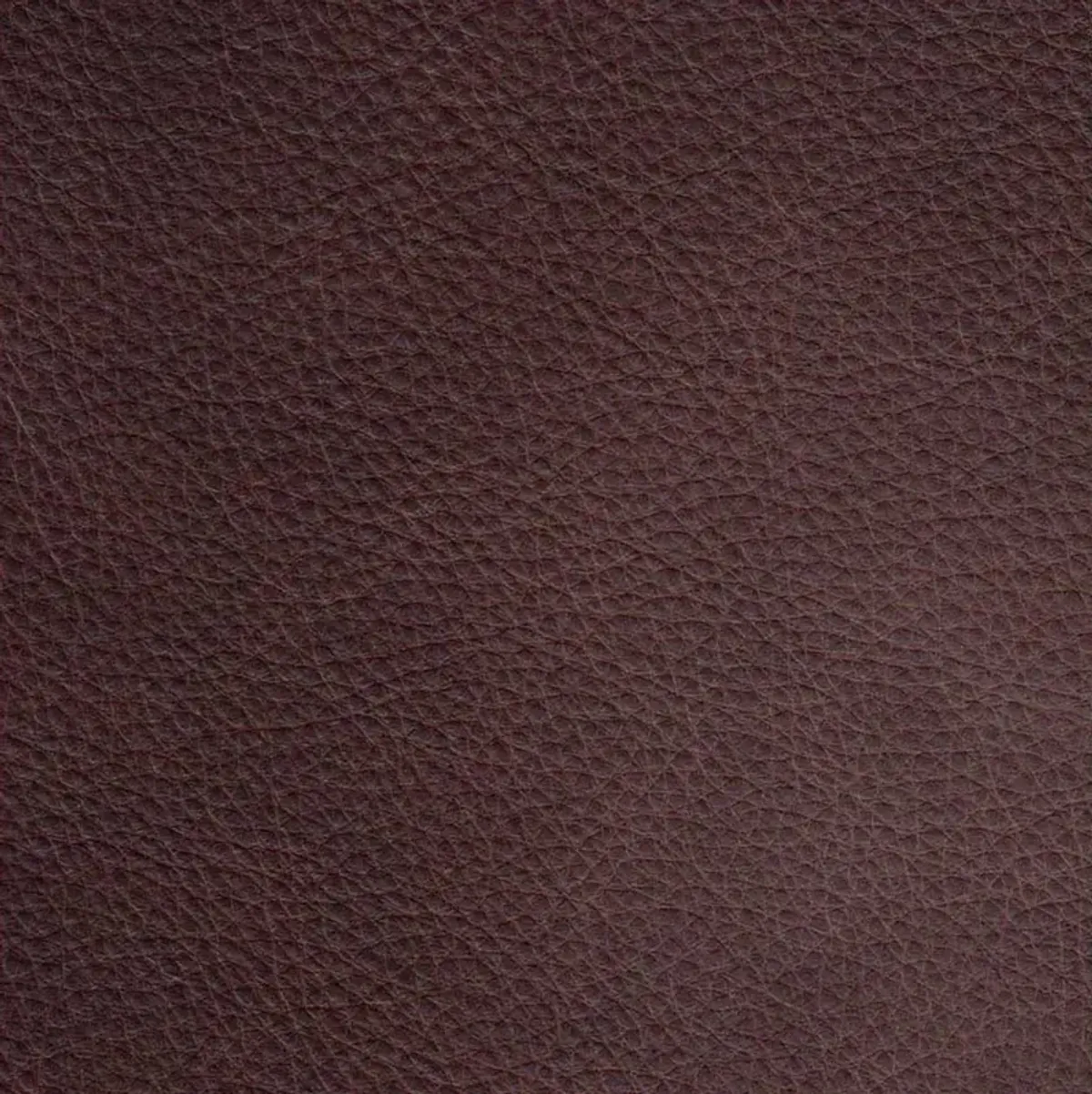 Aliso Top Grain Leather Sofa