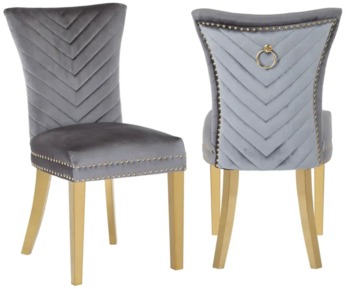 Eva 2 Piece Dining Chairs Finished with Velvet Fabric