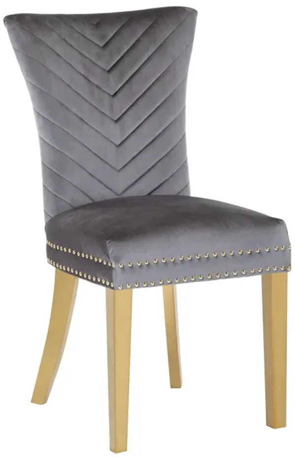 Eva 2 Piece Dining Chairs Finished with Velvet Fabric