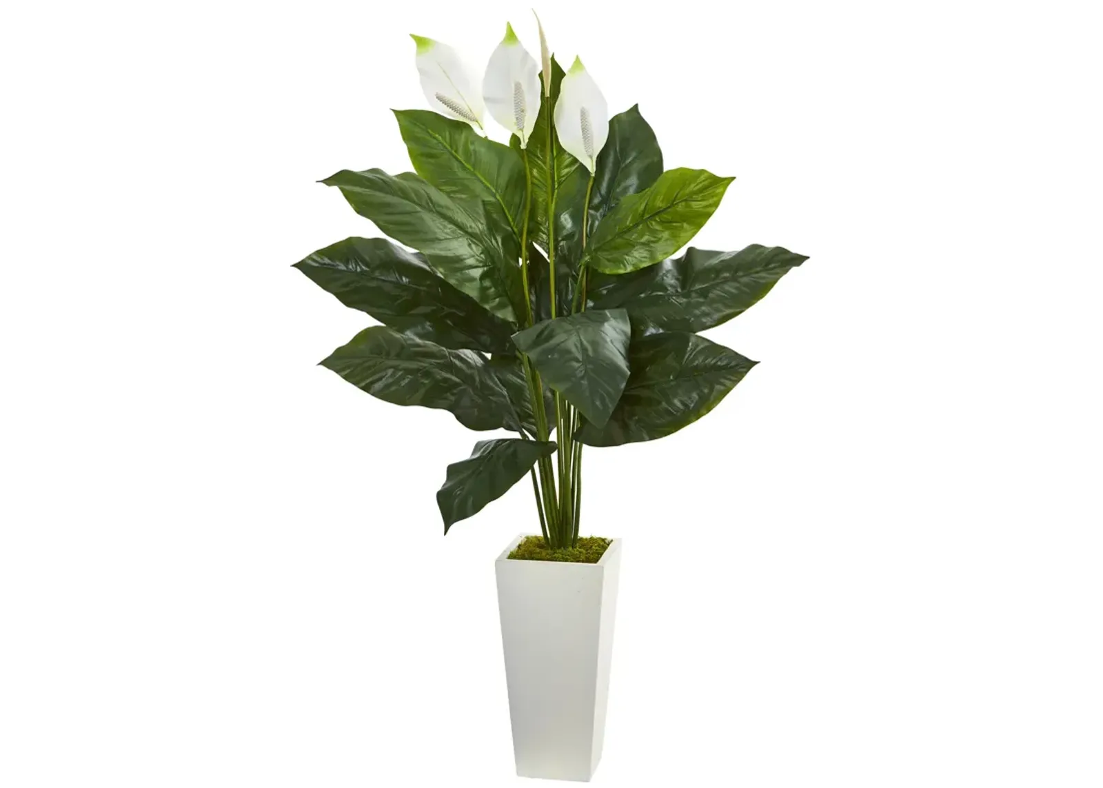 HomPlanti 51" Spathifyllum Artificial Plant in White Tower Planter