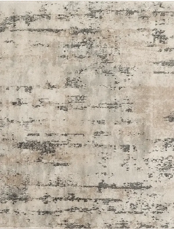 Quarry QUA01 Beige/Gray 4' x Square Rug