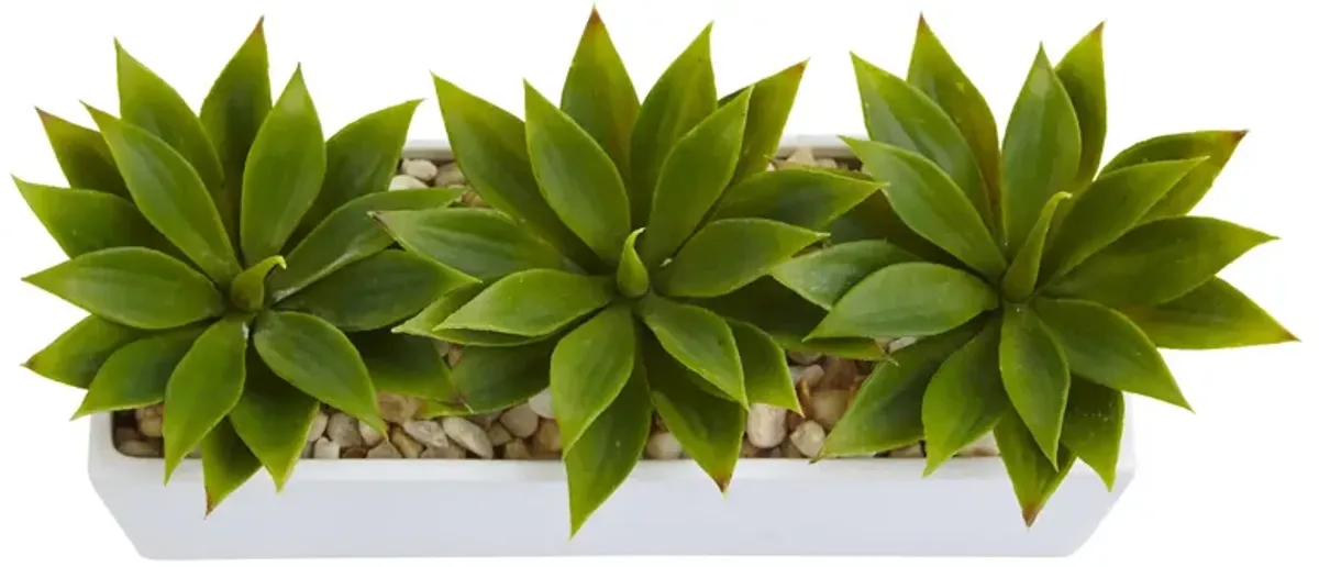 Hivvago Agave Succulent in Rectangular Planter