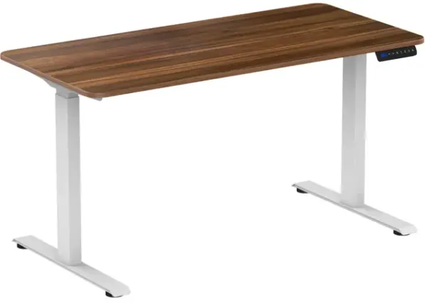 Electric Standing Desk with Dual Motor Height Adjustable Sit Stand Desk Computer Workstation with USB Charge
" 
, White