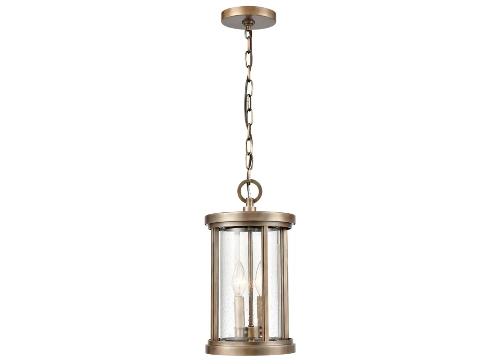 Brison 8'' Wide 2-Light Brass Outdoor Pendant