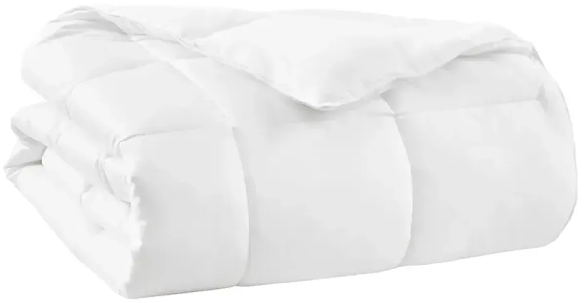 Gracie Mills Samantha Featherless Cotton Down Alternative Comforter