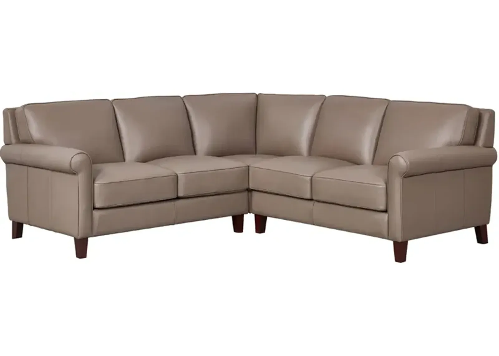 Laguna Top Grain Leather Symmetrical Sectional