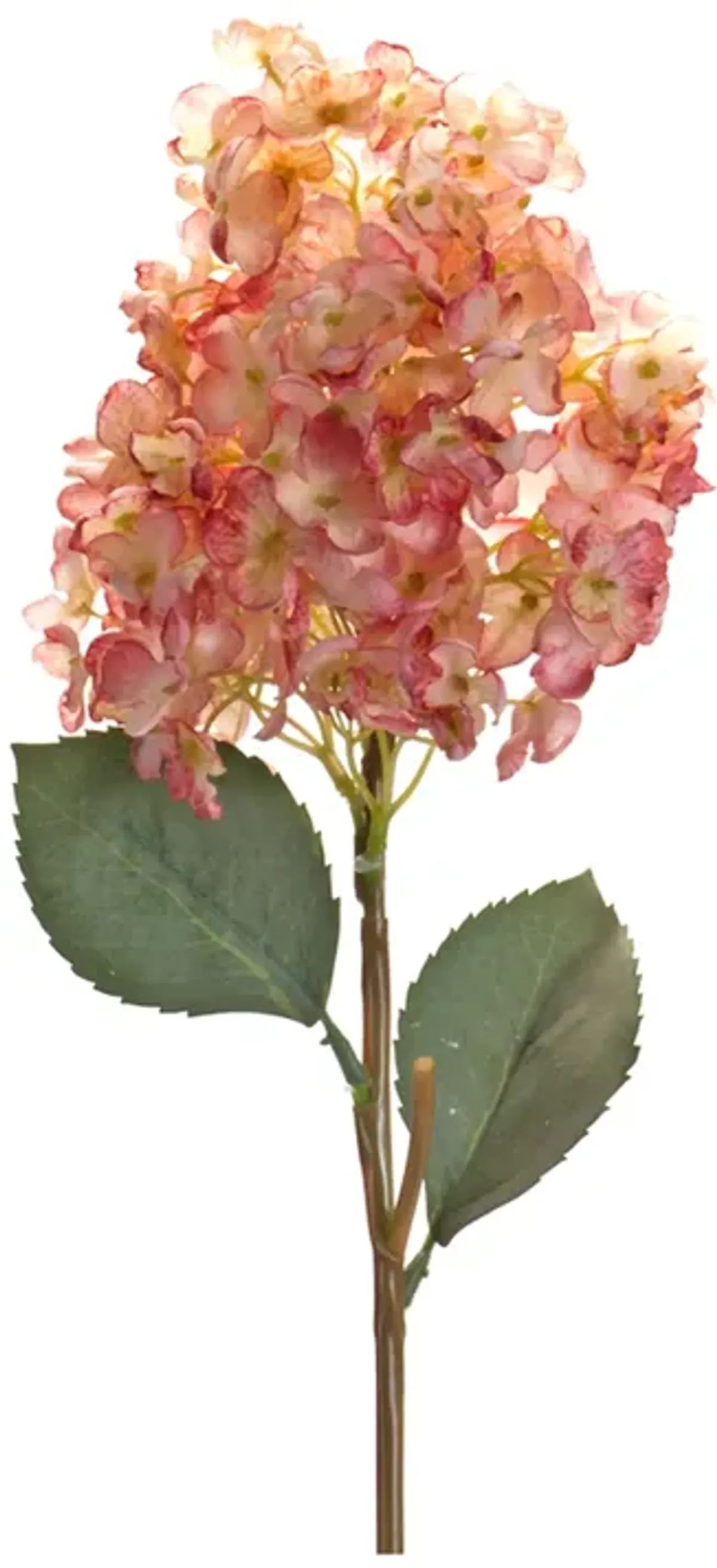 Elegant Coral Cone Hydrangea Artificial Flower Stem for Home and Event Décor (Set of 6)