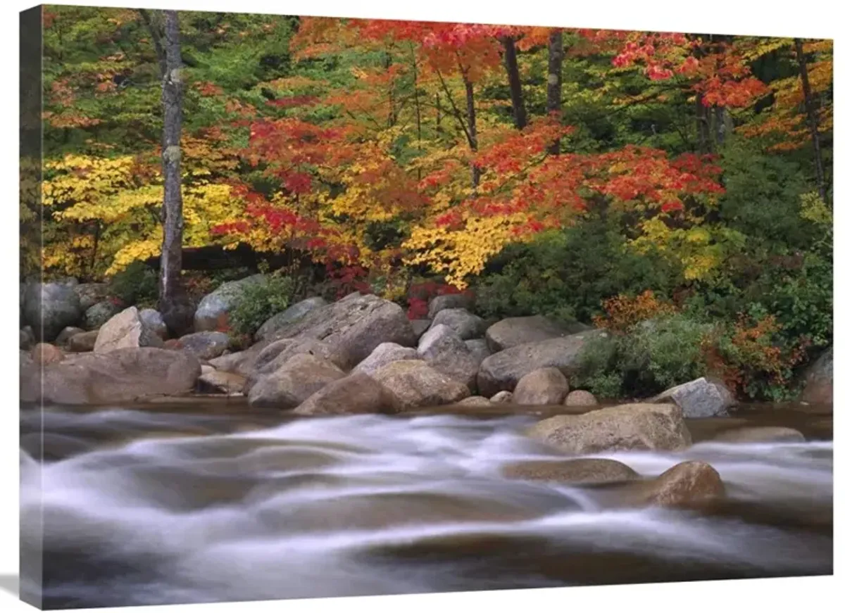 Autumn along Swift River, White Mountains National Forest, New Hampshire-Canvas Art-32x24