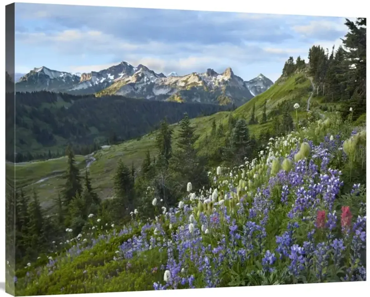 Wildflowers and Tatoosh Range, Mount Rainier National Park, Washington-Canvas Art-35x28