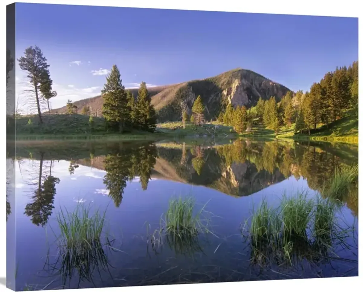 Bunsen Peak reflected in lake, Yellowstone National Park, Wyoming-Canvas Art-35x28