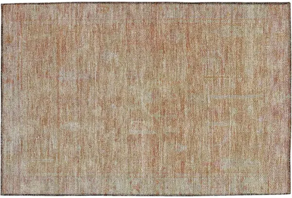 Solace SL11 Coral 20" x 30" Rug