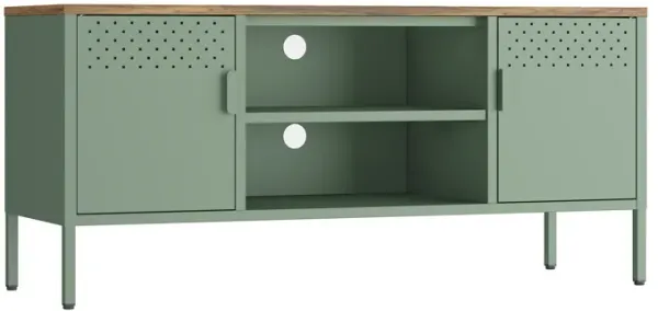 Landen Green TV Stand