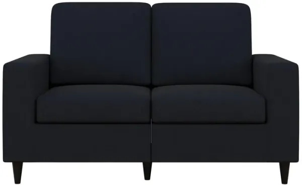 Coral Loveseat 2 Seater Upholstered Sofa