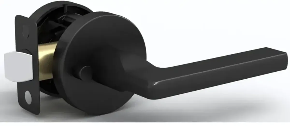 Mega Handles | Ralph Privacy Lever