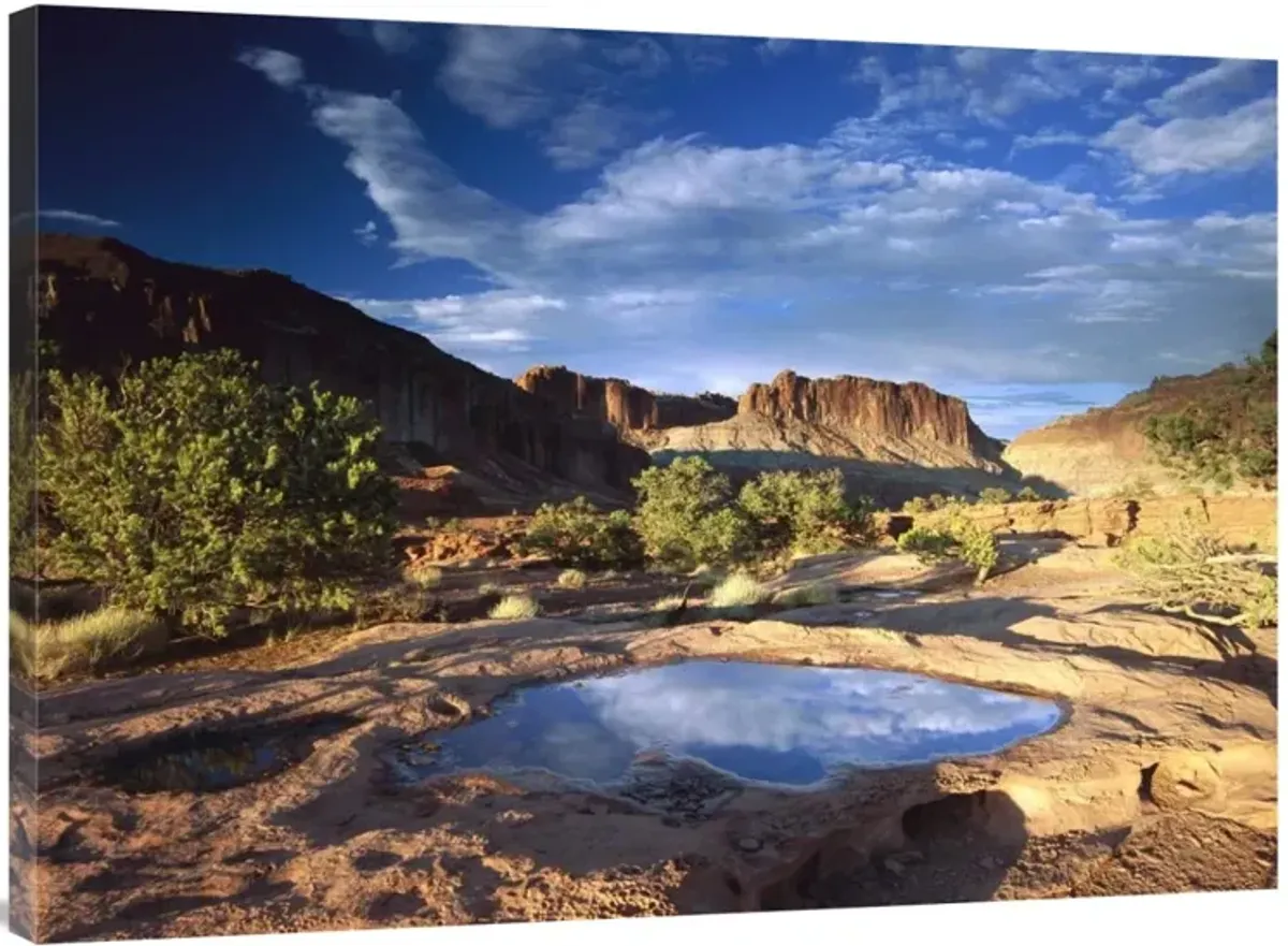 Water pothole at Panorama Point, Capitol Reef National Park, Utah-Canvas Art-40x30