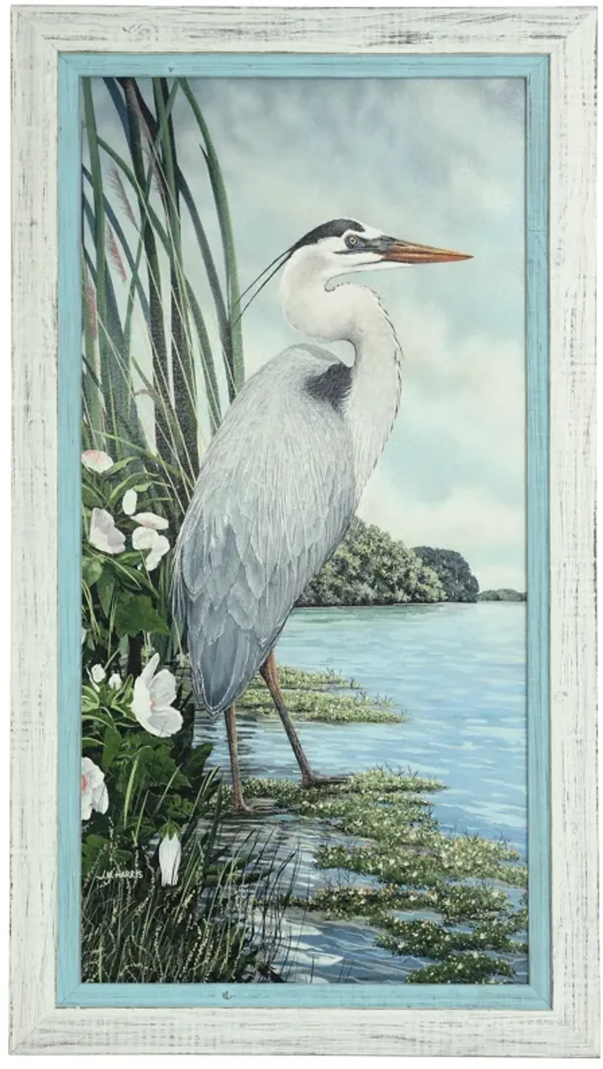 Great Blue Heron Framed Print