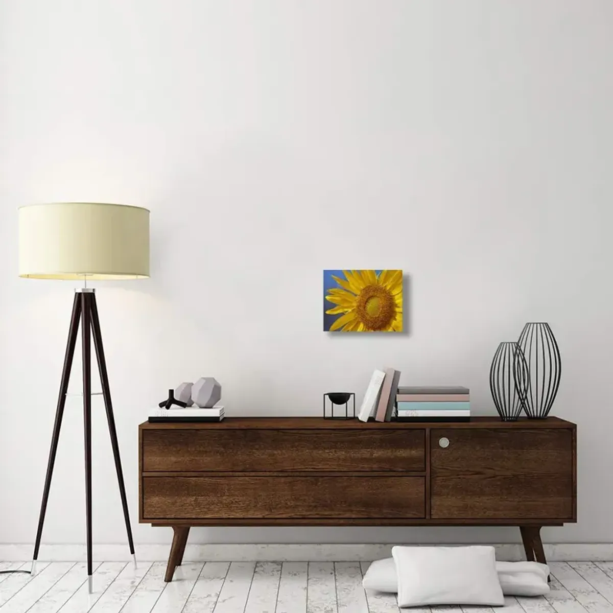 Common Sunflower flower, North America-Canvas Art-16x12